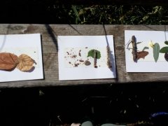 IMG_20190914_105129.jpg